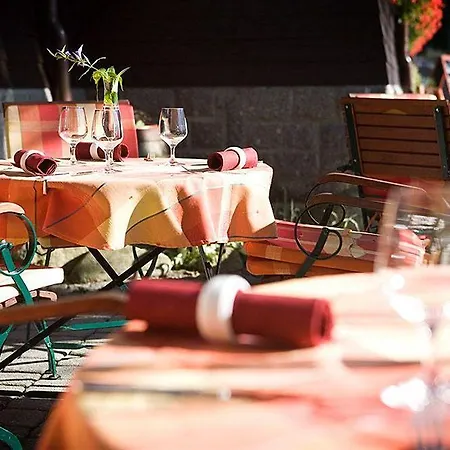 فندق Pod Jasany 3*